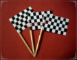 Racing Theme Party Supply Toothpick Flag Food Pick Design 1